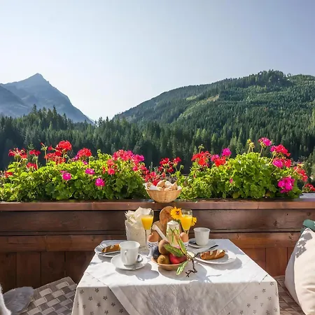 Apartment In Gerlos Gmund (Tyrol)